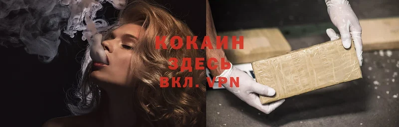 Cocaine Эквадор  закладки  KRAKEN ссылки  Конаково 